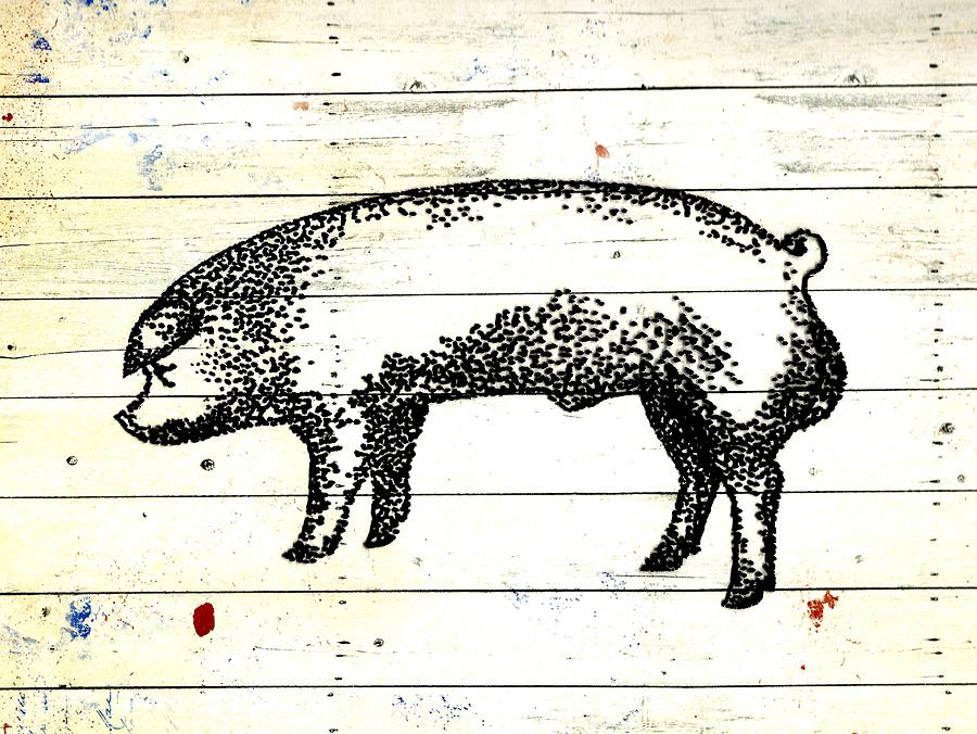 Chester White Boar 16 Drawing by Larry Campbell