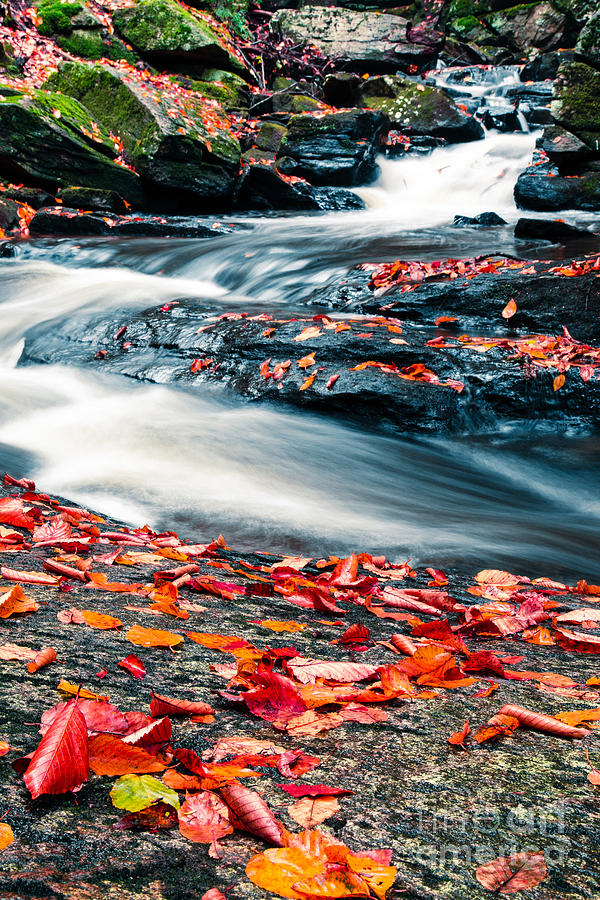 Fall Photograph - Chesterfield Gorge New Hampshire by Edward Fielding