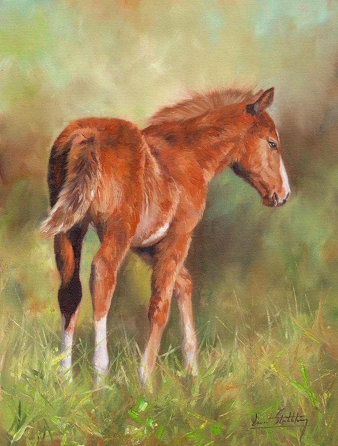 Chestnut Foal Painting by David Stribbling