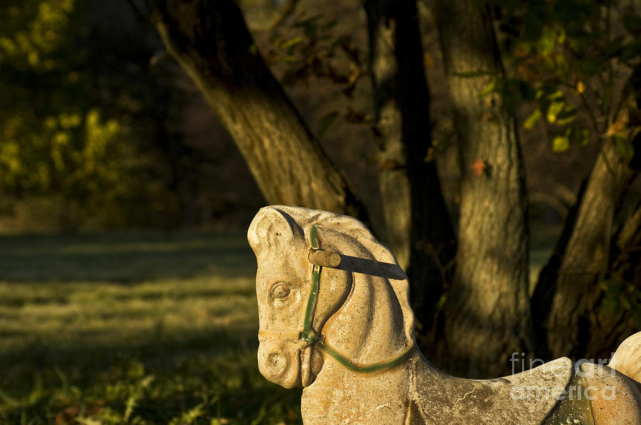 Nature Photograph - Chestnut Horse by Valerie Fuqua