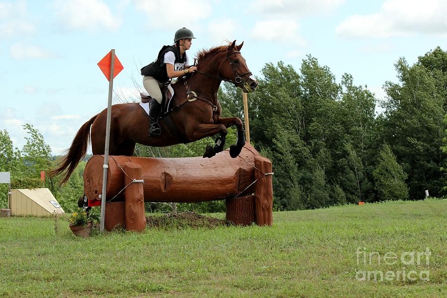 Chestnut Over Log Jump Photograph by Janice Byer