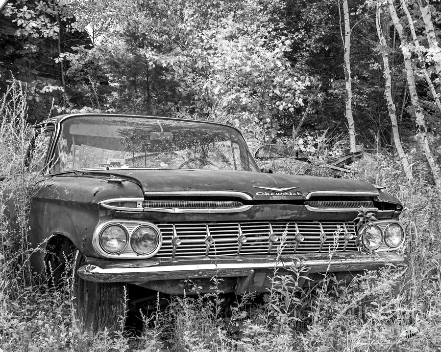 Chevrolet  Photograph by Alana Ranney