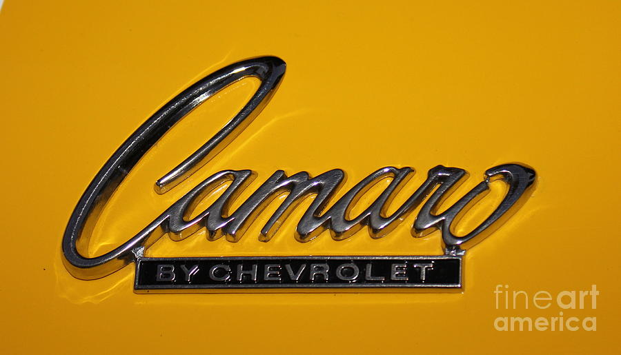 Chevrolet Camaro  Photograph by Reid Callaway