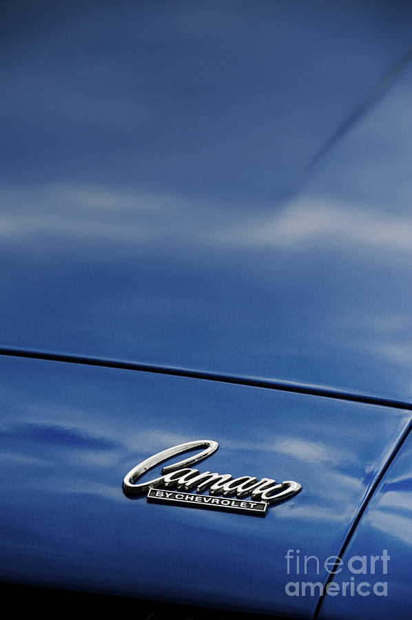 Car Photograph - Chevrolet Camaro by Tim Gainey