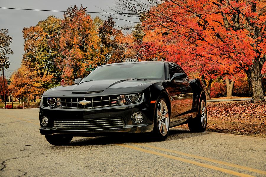 Chevy Camaro Photograph by Sonja Dover - Fine Art America