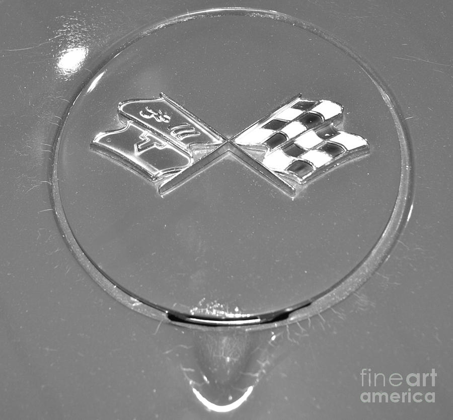 Chevy Corvette Black and White Photograph by Pamela Walrath