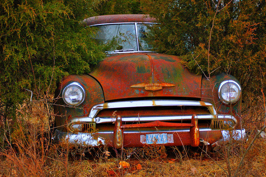 Chevy Cars Photograph - Chevy in the cedars by Tony Morgan