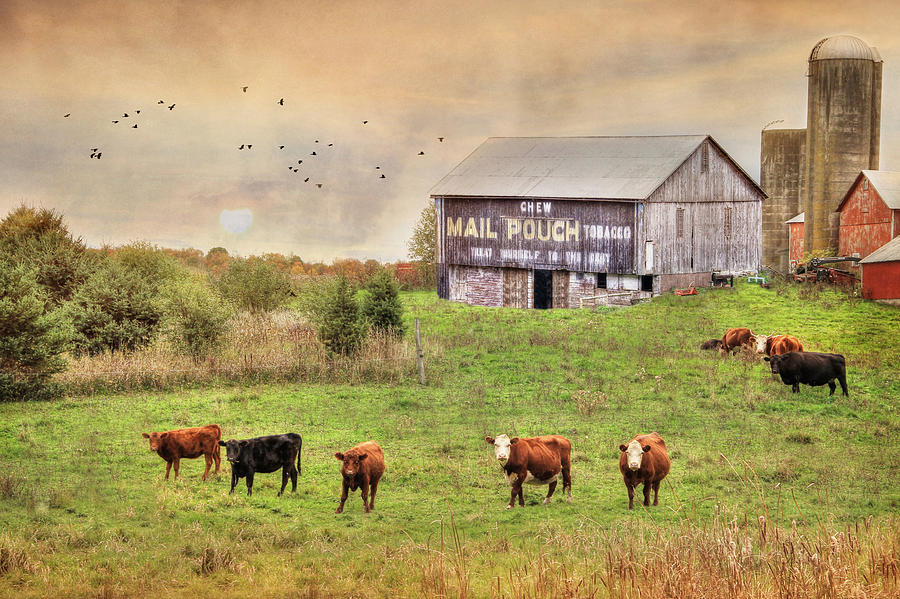 Barn Photograph - Chew Mail Pouch by Lori Deiter