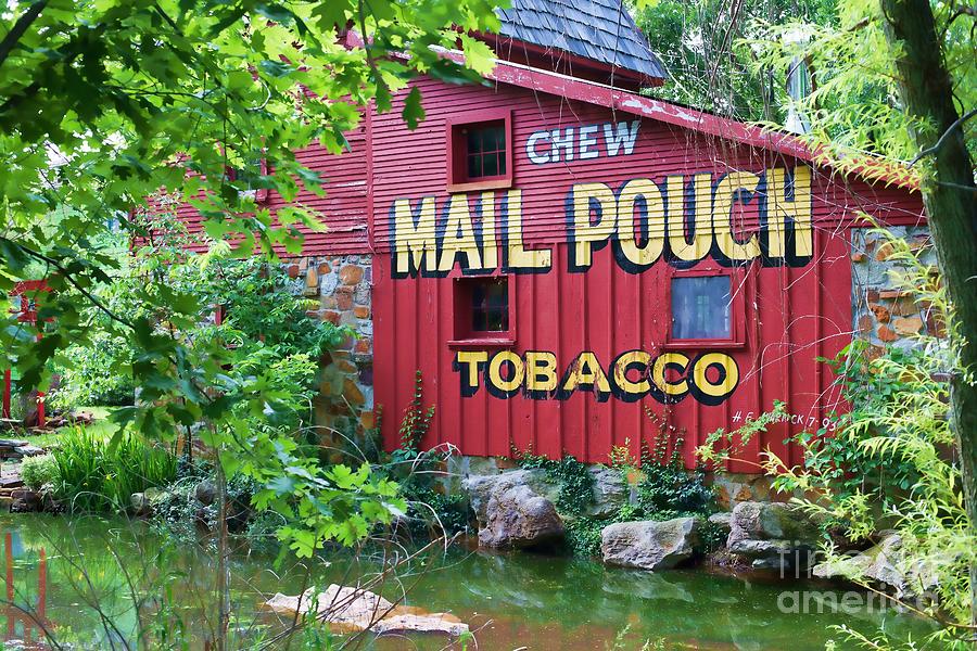Tree Photograph - Chew Mail Pouch Tobacco  by Liane Wright
