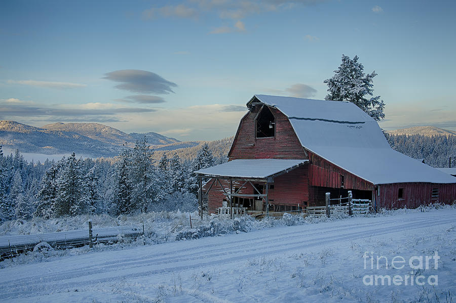 Chewelah Barn Photograph by Idaho Scenic Images Linda Lantzy