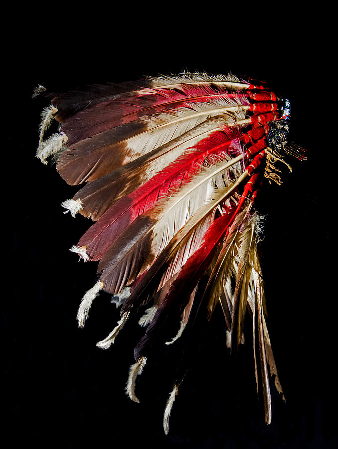 Cheyenne Indian 1870s Eagle Feather Photograph by Millard H. Sharp