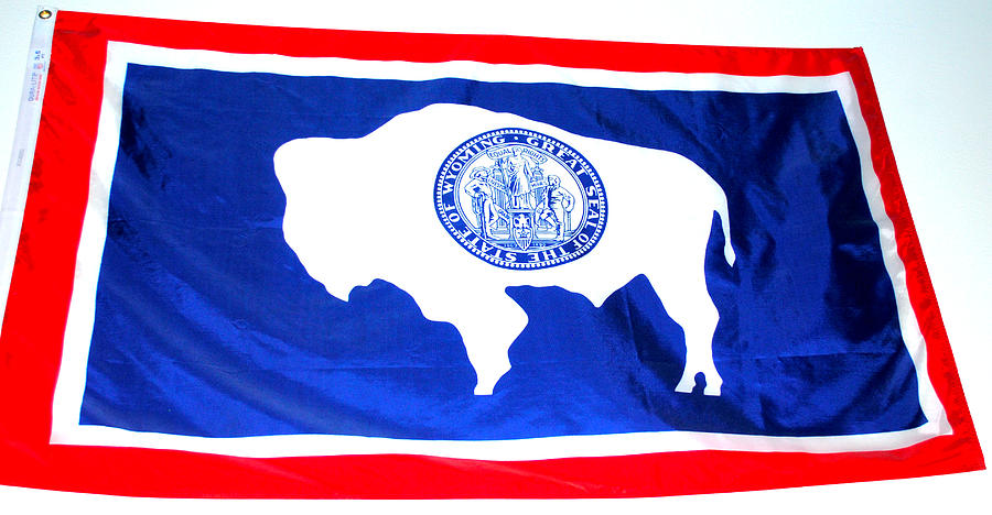 Cheyenne Wyoming flag. Photograph by Oscar Williams - Pixels