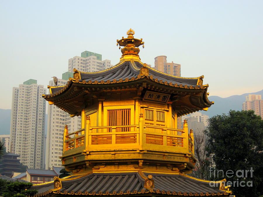 Chi Lin Temple - Hong Kong Photograph by Amanda Mohler