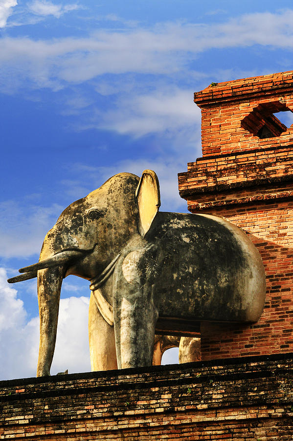 Chiang Mai Elephant Photograph by Rob Tullis