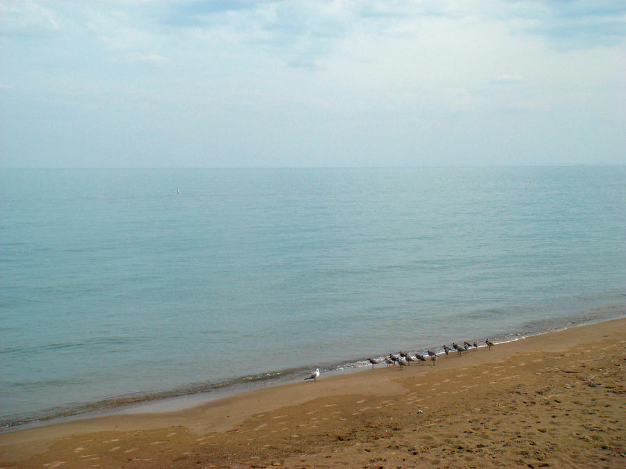 12th Street Beach Chicago Sunset Stock Photo 1024225219