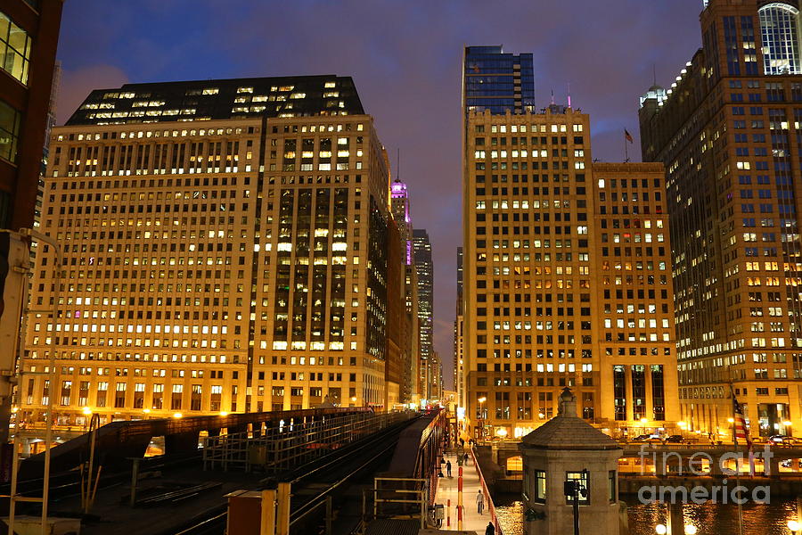 Chicago Architecture At Night Photograph