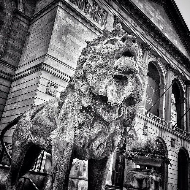 Black And White Photograph - Lion Statue at Art Institute of Chicago by Paul Velgos