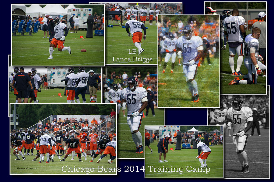 Chicago Bears LB Lance Briggs Training Camp 2014 Collage Photograph by Thomas Woolworth