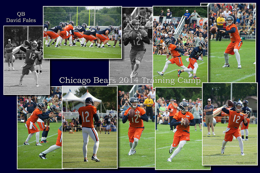 Chicago Bears QB David Fales Training Camp 2014 Collage B Photograph by Thomas Woolworth