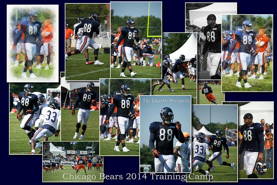 Chicago Bears TE Dante Rosario Training Camp 2014 Collage Photograph by Thomas Woolworth