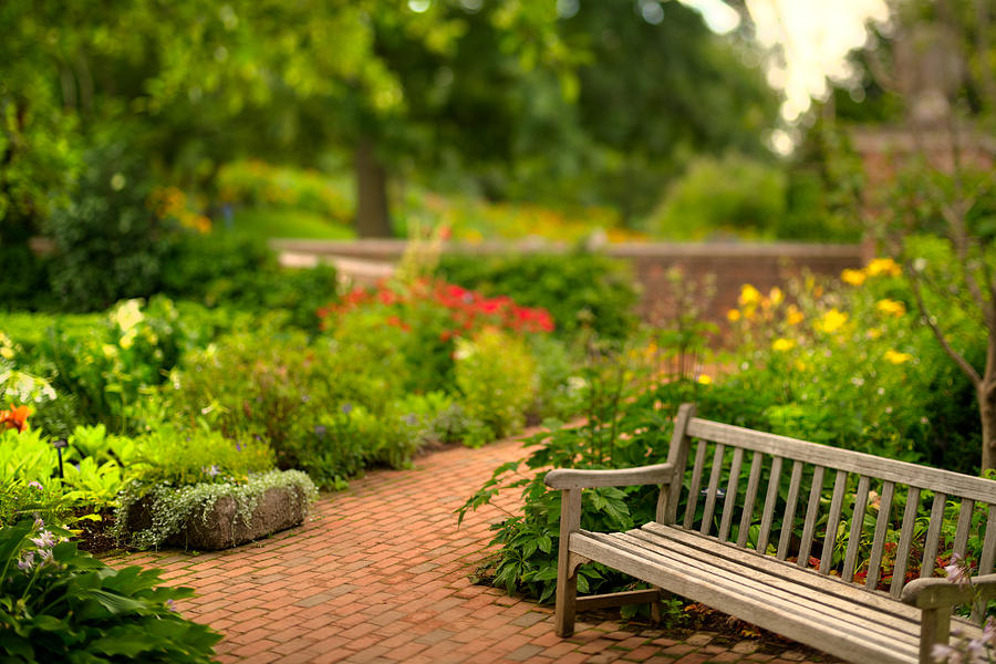 Chicago Photograph - Chicago Botanic Garden Bench by Steve Gadomski