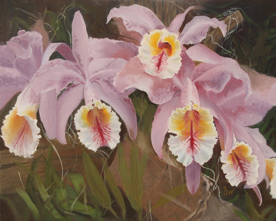 Flower Painting - Chicago Botanic Garden Orchids by Sandra Collins