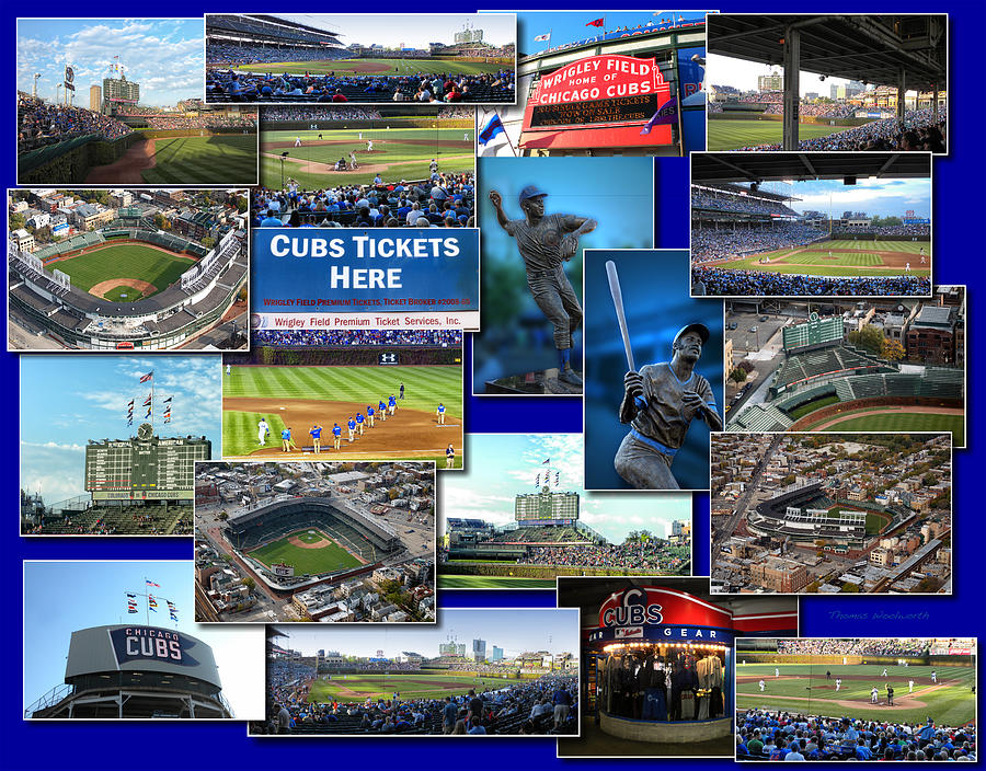 Ernie Banks Photograph - Chicago Cubs Collage by Thomas Woolworth