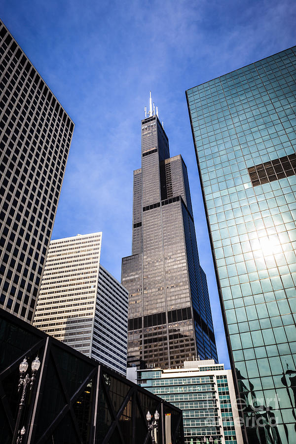 Chicago Downtown City Buildings with Willis-Sears Tower Photograph by ...