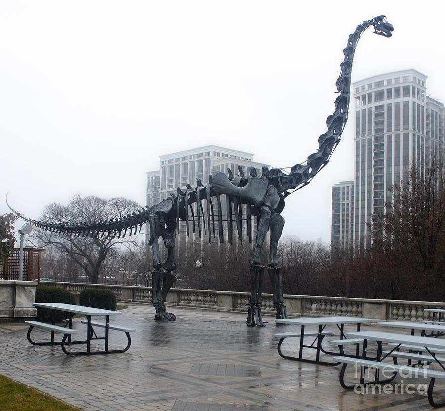 new dinosaur at field museum