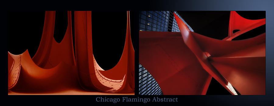 Chicago Flamingo Abstract 01 2 Panel Photograph by Thomas Woolworth