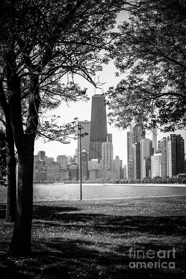 Chicago Hancock Building Through Trees In Black And White Photograph