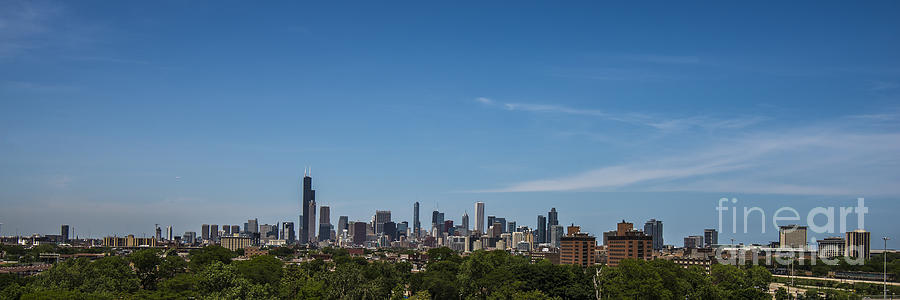 Chicago Illinois Skyline Photograph by David Haskett II
