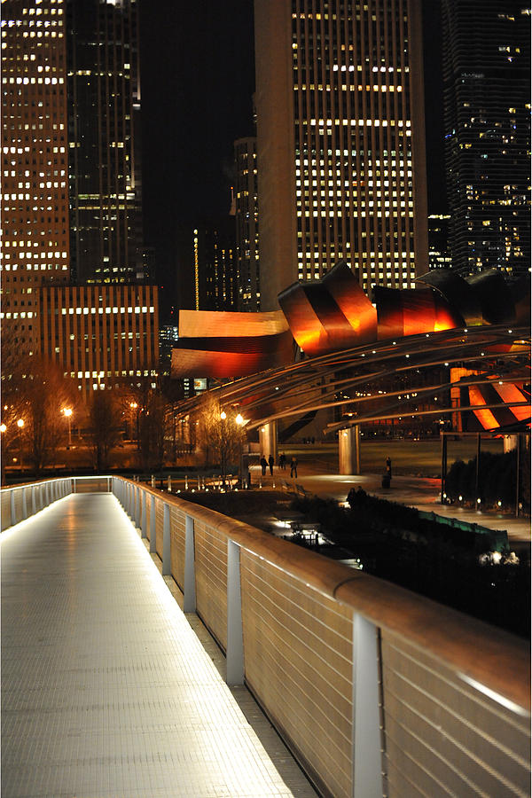 Chicago Millennium Park Photograph - Chicago Millenium Park by Steve Archbold