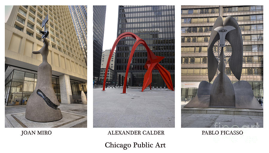 Chicago Public Art Photograph by David Bearden