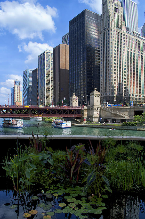 Summer Photograph - Chicago River Walk Trump Reflecting Pool Vertical 03 by Thomas Woolworth