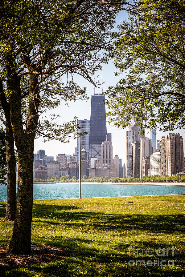 Chicago Skyline And Hancock Building Through Trees Photograph