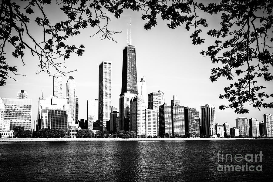 Chicago Skyline Black And White Picture Photograph