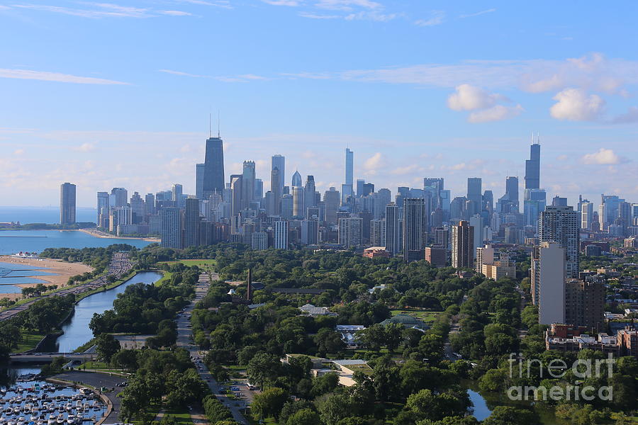 Chicago Photograph - Chicago skyline in summer by Michael Paskvan