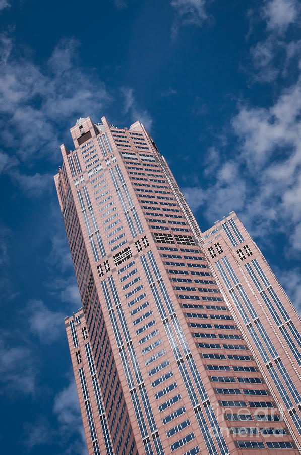 Chicago Skyscraper Photograph by Dejan Jovanovic