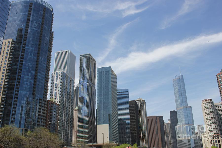 Chicago Skyscrapers Photograph