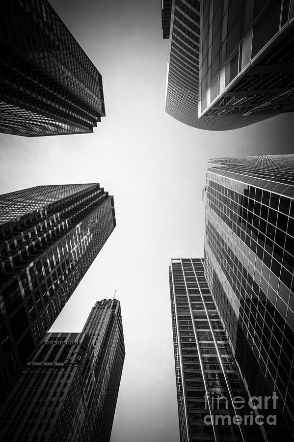 Chicago Skyscrapers In Black And White Photograph