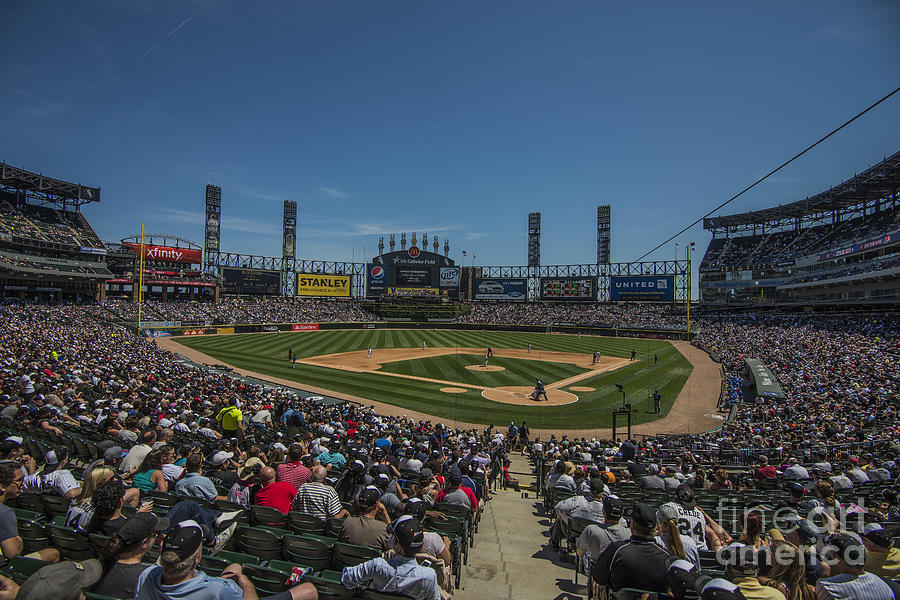 Chicago White Sox Low Photograph by David Haskett II