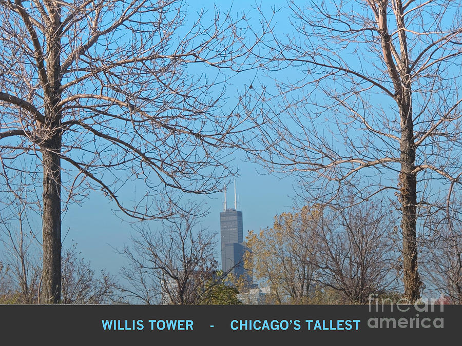 Chicagos Tallest Photograph by Ann Horn