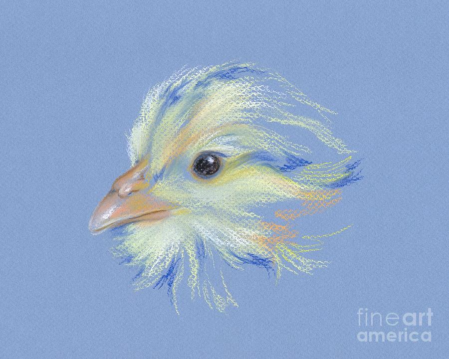 Chick - Plymouth Barred Rock Pastel by MM Anderson