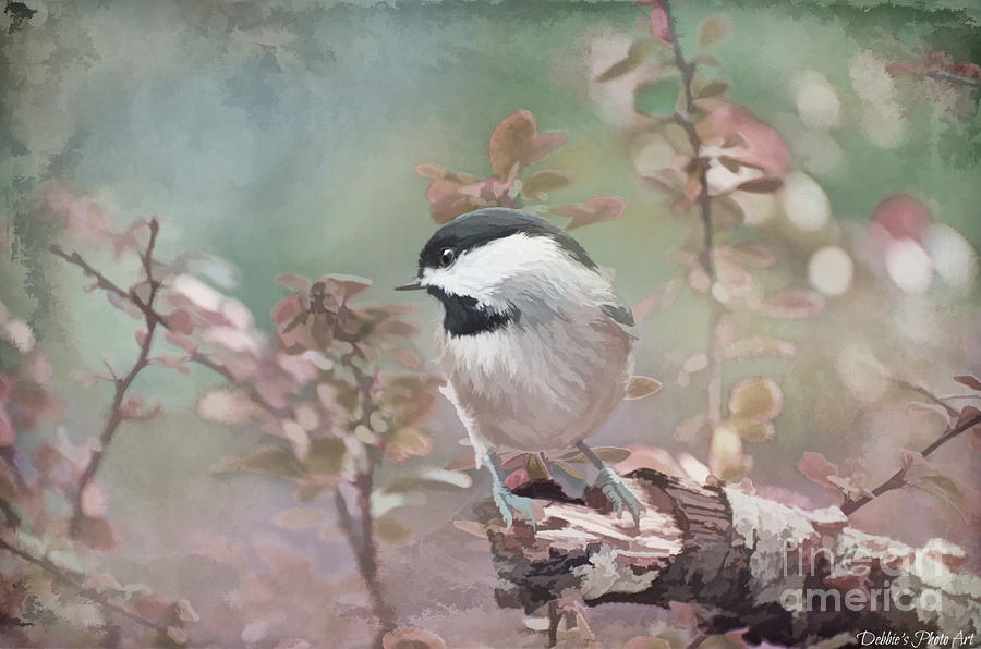Chickadee and the Hiding Caterpillar - Digital Paint 2 Photograph by Debbie Portwood