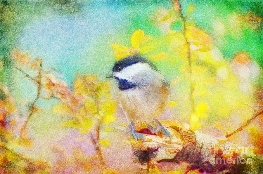 Chickadee and the Hiding Caterpillar - Digital Paint 3 Photograph by Debbie Portwood