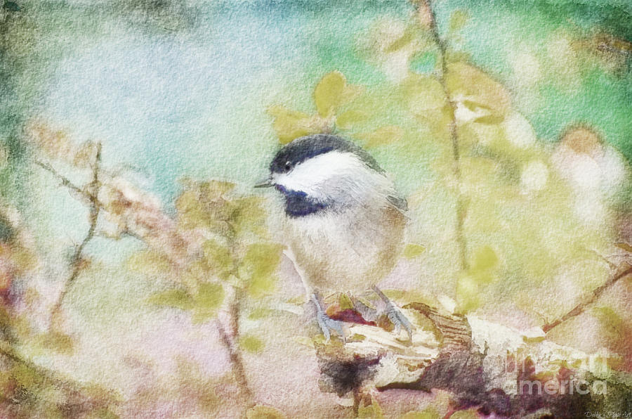 Chickadee and the Hiding Caterpillar - Digital Paint 4 Photograph by Debbie Portwood