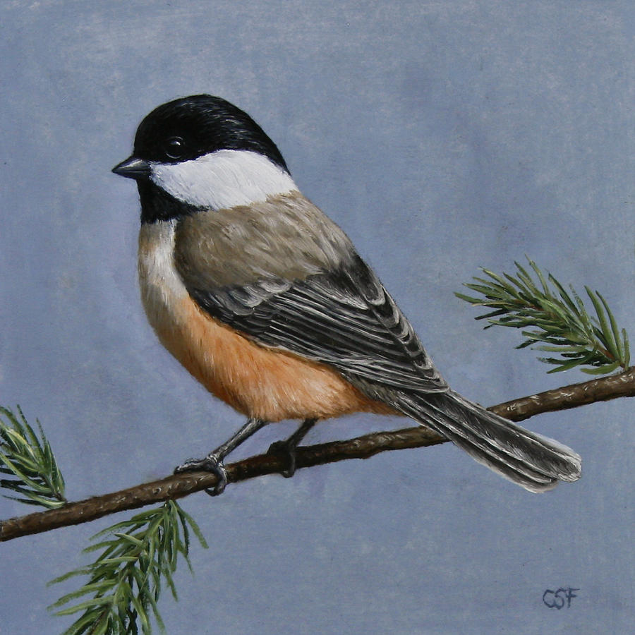 Chickadee Charm Painting by Crista Forest