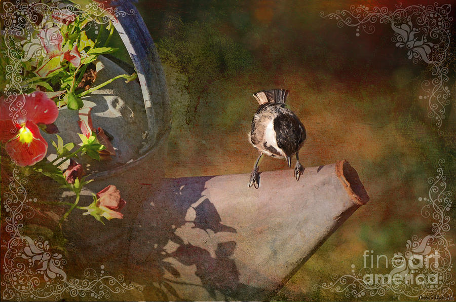 Nature Photograph - Chickadee Flower pot by Debbie Portwood