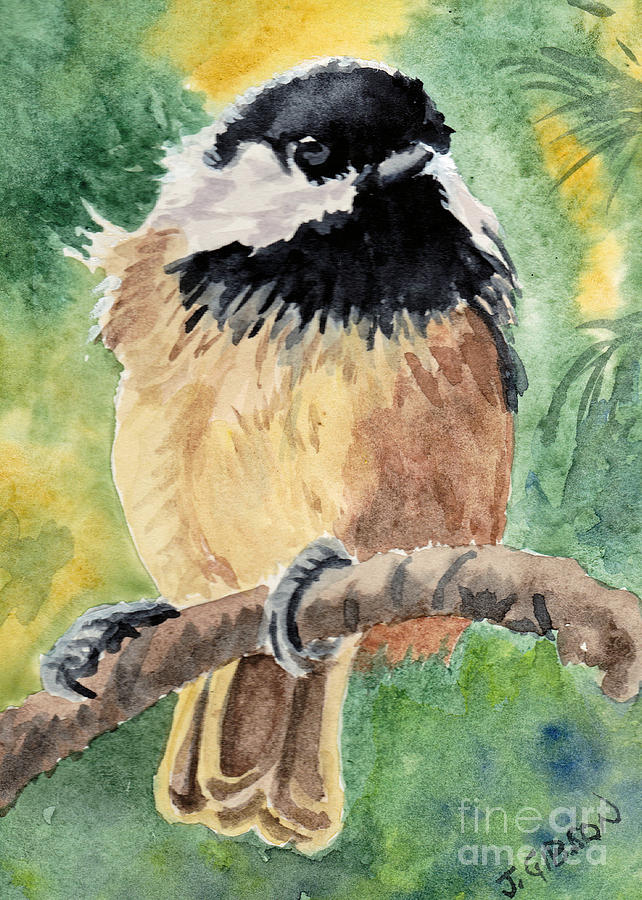 Chickadee Painting by Jan Gibson